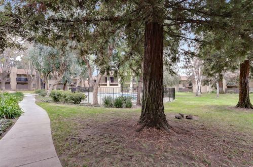 259 Capitol Ave, San Jose CA 95127-2367 exterior