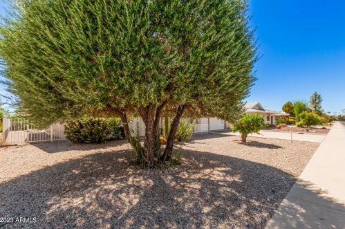 9807 Redwood Dr, Sun City, AZ 85351-3209