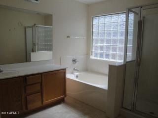 13133 Stella Ln, Litchfield Park AZ  85340-4076 exterior