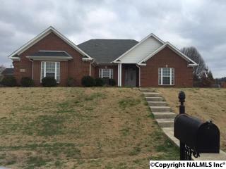 101 River Downs Dr, Huntsville, AL 35811-8898