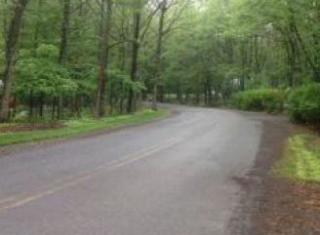 1158 Brian Ln, Effort, PA 18330-7834