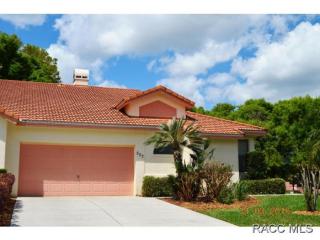 507 Las Palmas Pt, Inverness, FL 34450-4351