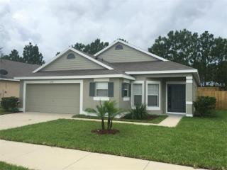 1232 Longville Cir, Tavares, FL 32778-4962
