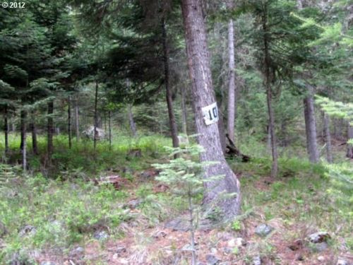 10 Tamarack Ln, Lostine, OR 97857