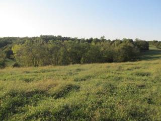1056 Gills Chapel Rd, Lewisburg, TN 37091-5315