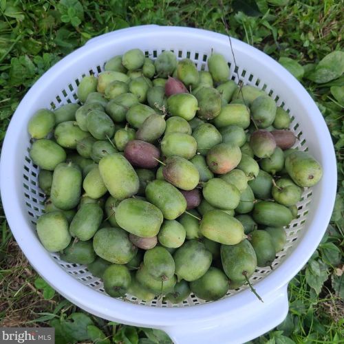 1139 Wilson Ave, Glen Mills PA  19342-9610 exterior