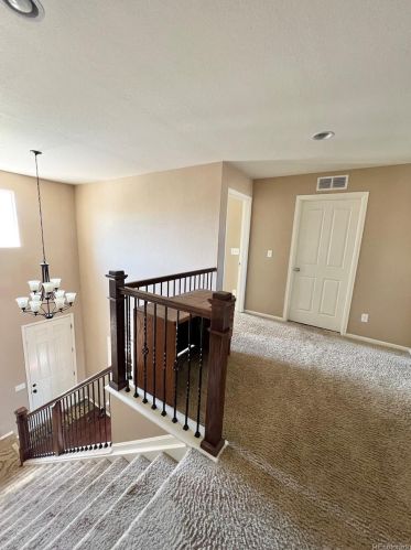 4910 Netherland Way, Denver CO 80015-6452 exterior