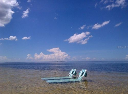 3719 Floramar Ter, New Port Richey FL  34652-3100 exterior