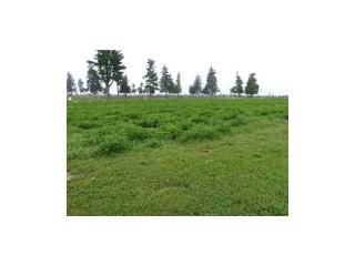 404 Coneflower Ct, Monroe, IA 50170-2301