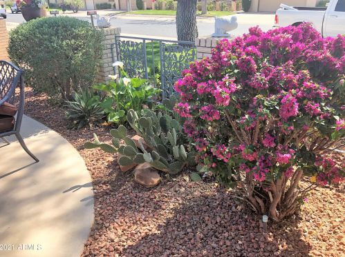 12608 Seneca Dr, Sun City AZ  85375-4636 exterior