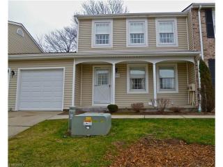 7372 Chestnut Commons Dr, Concord Township OH  44060-3502 exterior