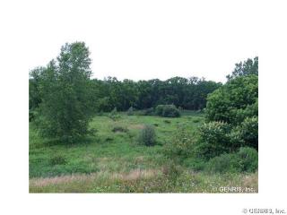 145 Kensington Ct, Livonia, NY 14487-9784