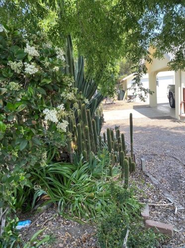 6985 Barton St, San Bernardino, CA 92404-6203