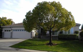 4704 Gatwick Ct, Rocklin, CA 95677-4483