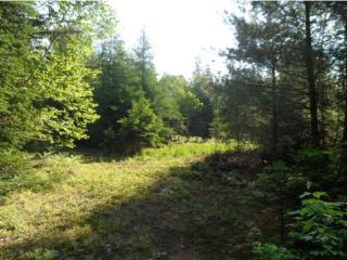 1 Birch Dr, Columbia, NH 03590-4100