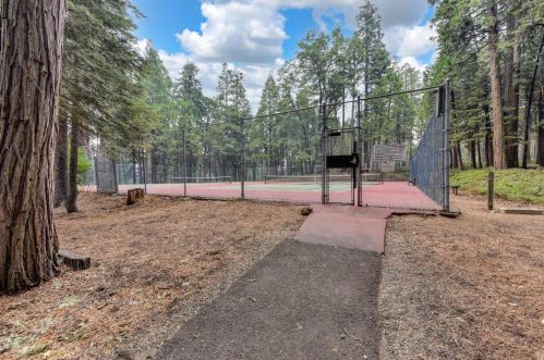 4010 Opal Trl, Pacific House CA  95726-9736 exterior