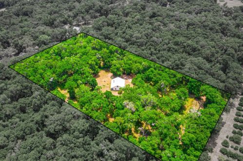 34910 Tipton Rd, Dade City, FL 33523-6449