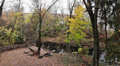 31 Glenbrook Ave, Waterbury, CT 06705-1719