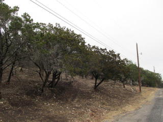 107 Deer Hill Dr, Ingram, TX 78025-3037