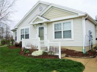 4542 Grand Teton Dr, Medina OH  44256-7093 exterior