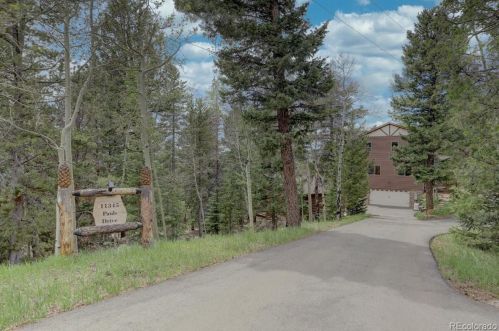 11345 Pauls Dr, Conifer, CO 80433-8208