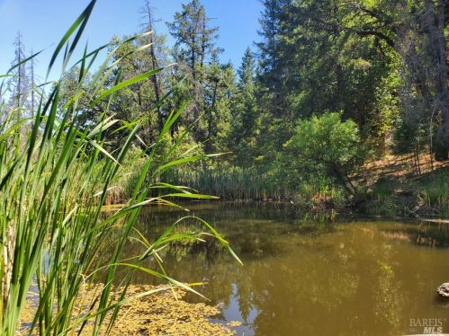 3440 Second Gate Rd, Willits CA  95490-5823 exterior