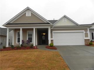 20155 Dovekie Ln, Fort Mill SC  29707 exterior