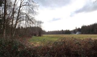 3119 Loomis Trail Rd, Custer WA  98240-9405 exterior
