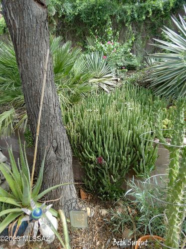 5221 Grouse Way, Tucson AZ 85742-9496 exterior