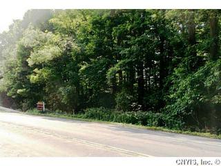 2667 Dunbar Woods Rd, Martisco, NY 13108-9703