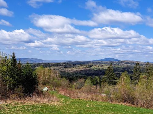 848 Diamond Pond Rd, Columbia NH  03576-5611 exterior