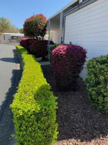 180 Overbrook Dr, Folsom CA  95630-1657 exterior