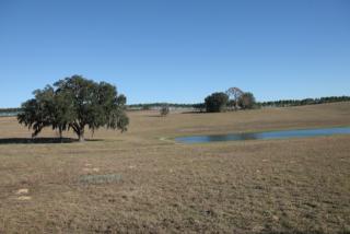 525 Lake Shenandoah Loop, Inverness, FL 34453-9007
