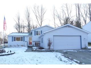 11190 Heritage Dr, Twinsburg, OH 44087-1141