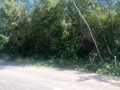 620 South Rd, Scotia, CA 95565-9714