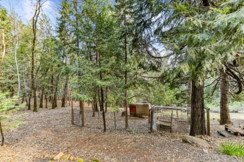 20134 Hosmer Mine Ct, Michigan Bluff CA  95631-9777 exterior