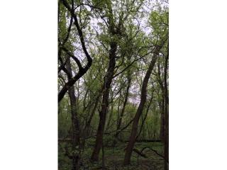 15017 Crown Dr, Hopkins, MN 55345-3606
