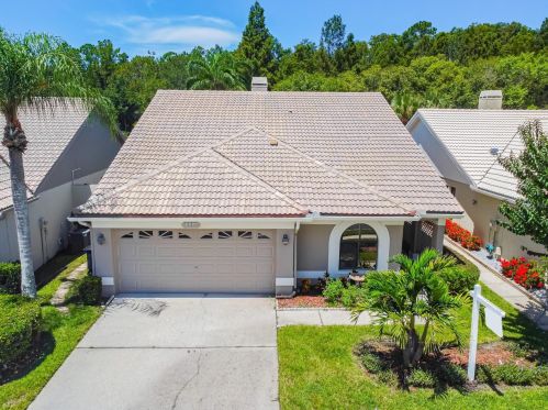 3664 Darston St, Palm Harbor FL  34685-1182 exterior