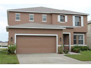 10916 Subtle Trail Dr, Riverview, FL 33579-2338