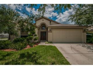 19415 Wyndmill Cir, Odessa, FL 33556-1728