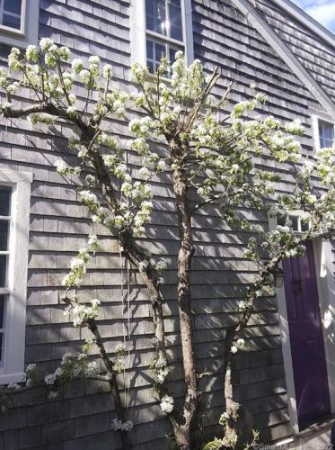 35 Water St, Stonington, CT 06378-1435