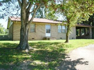 15411 Highway 412, Lexington, TN 38351-7709