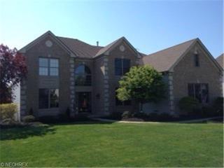 11816 Fox Grv, Cleveland, OH 44149-2893