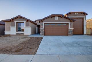 17805 Corrine Dr, Sun City, AZ 85388-5644