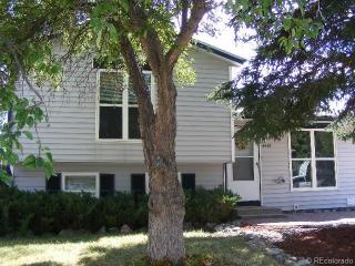 4407 Vivian Way, Morrison, CO 80465-1332