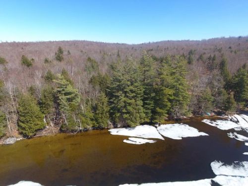 21 Gull Pond Rd, Tupper Lake, NY 12986-7804