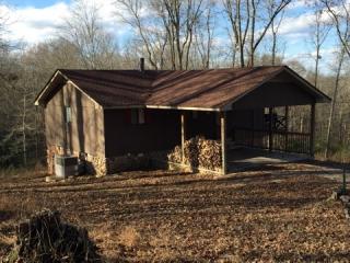 973 Patterson Town Ln, Decaturville, TN 38329-4816