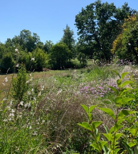 14996 Guadalupe Dr, Rancho Murieta CA  95683-9425 exterior