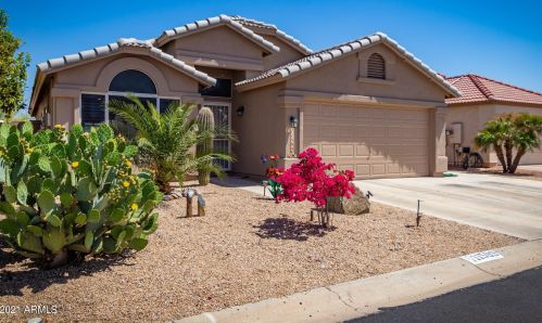 11599 Buck Mountain Ct, Sun City, AZ 85378-2699