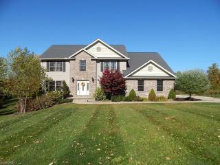 7871 Emerald Run Rd, Medina OH  44256-7755 exterior